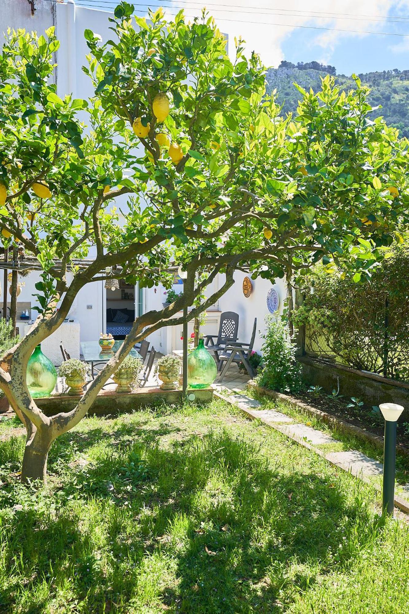 Il Cellaio Hotel Anacapri  Bagian luar foto